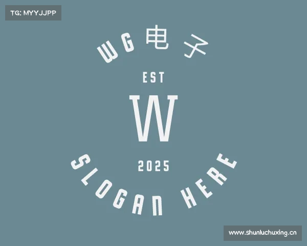 发现WG电子